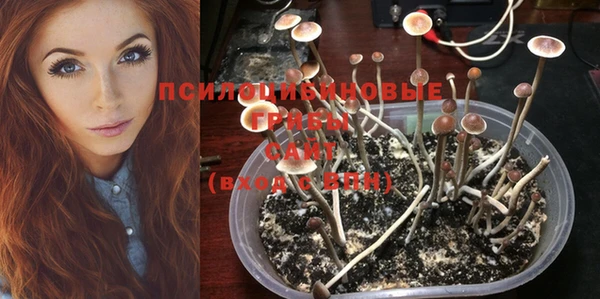 дурь Козловка