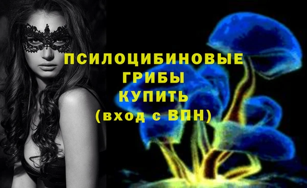 дурь Козловка