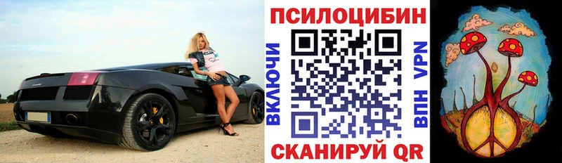 Псилоцибиновые грибы ЛСД  купить наркоту  Котельнич 