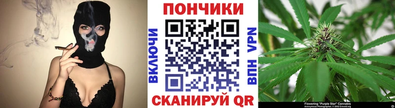 Каннабис OG Kush мега зеркало Котельнич нарко площадка клад цены